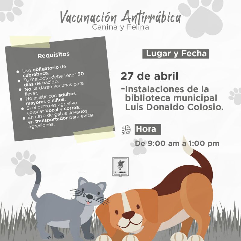 Campaña de vacunación canina y felina