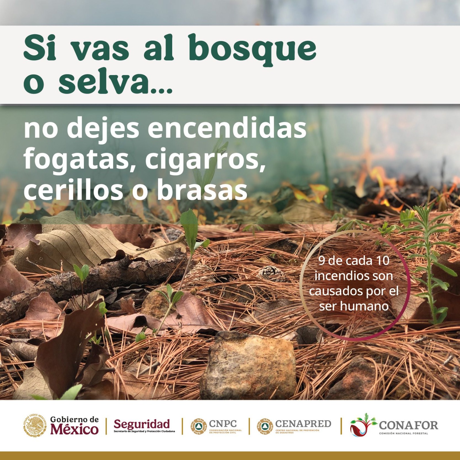 Campaña de Prevención de incendios