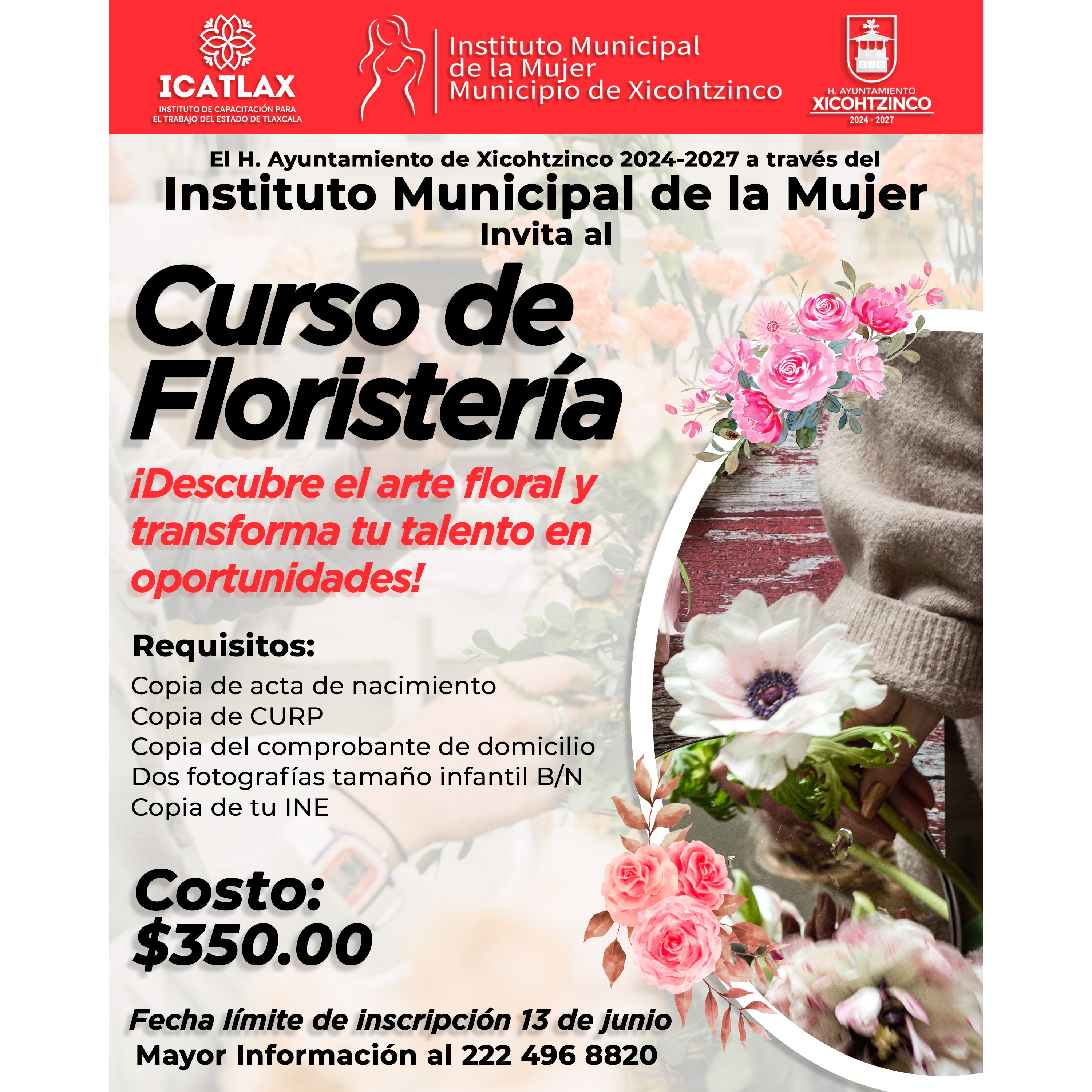 Curso de Floristeria